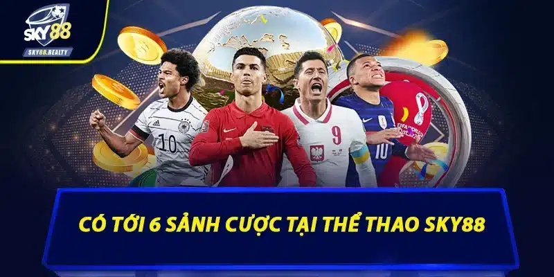 Có tới 6 sảnh cược tại thể thao Sky88