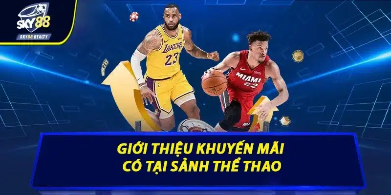 Giới thiệu khuyến mãi có tại sảnh thể thao