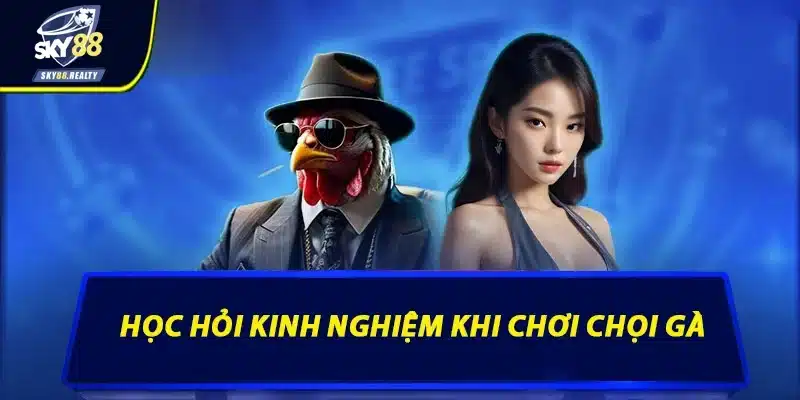 Học hỏi kinh nghiệm khi chơi chọi gà